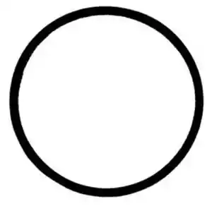 KAROSSERIEDICHTUNG (O-RING) ALS ERSATZ FÜR TACO 008-005RP PASSEND FÜR TACO 005 008 PUMPEN - Bild 1 von 1