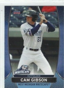 2016 West Michigan Whitecaps (Class A-Detroit Tigers) Cam Gibson