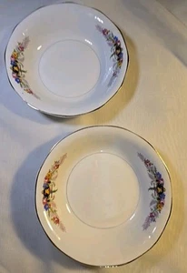Vintage~1930's ~Parrot Bowls ~Penn China~Martha Washington Collection S.C. ~Pair - Picture 1 of 7