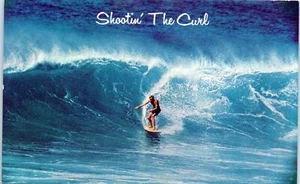 1960s HI Postcard Surfing Shootin The Curl Hawaii Unposted Surfer Sport of Alii - Picture 1 of 2