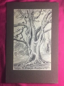 Bertrand BONPUNT (1887-1976) - Zeichnung "OLIVIER SCROQUIS À MENTON" 1910 - Bild 1 von 6