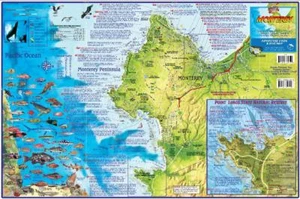 Monterey Adventure Map Laminated Poster - Picture 1 of 2