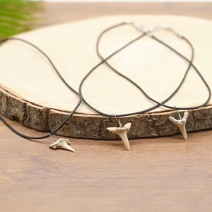 Otodus Shark Tooth Pendant Necklace Genuine Fossil Black Waxed Cord x 1 Piece - Picture 1 of 6