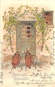 1903 Two Insects Beetle Bugs Arriving at Home's Door post card - Picture 1 of 2