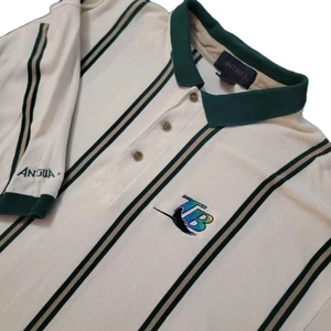 Vintage Tampa Bay Rays Polo Shirt Antigua Men's XL Striped Devil Rays EUC Y2K - Picture 1 of 7