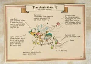 Vintage Nu-Color-Vue Cartoon Comedy Postcard The Australian Fly - Bild 1 von 2