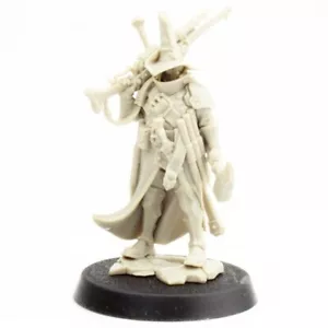 Jelsen Darrock Cursed City Hero Warhammer Age of Sigmar Witch Hunter Fighter D&D - Picture 1 of 2