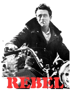 James Dean Rebel T shirt Transfers Iron On 8x10 Lite/ Dark Fabric - Picture 1 of 1