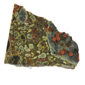Obsidiana de cacahuete verde y negro, losa, cabing áspero, #R-6567 - Imagen 1 de 11