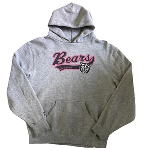 Jansport HERSHEY BEARS Hoodie/Sweatshirt AHL Hockey Calder Cup Champs Child XL - Picture 1 of 11