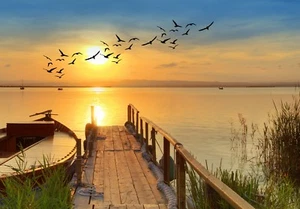 XXL Poster 100 x 70cm (S-849) Steg am Meer mit Boot und Vögeln bei Sonnenschein - Bild 1 von 1
