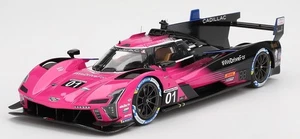 Cadillac V-Series.R #01 Cadillac Racing 2024 IMSA Petit Le Mans ganador en 1:18 - Imagen 1 de 6