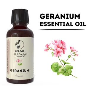 Pure Geranium Oil for Glowing Skin - Uplifting Aromatherapy for Stress & Anxiety - Picture 1 of 7