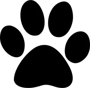 Paw Print Vinyl Decal Bumper Sticker Car Window Dogs Pet Laptop Animals Puppy - Picture 1 of 22