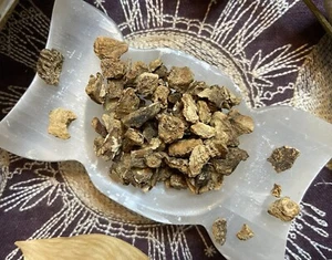 Teufelskrallenwurzel, Schutz, Vertreibung unerwünschter Gesellschaft, Verbannung - Bild 1 von 2