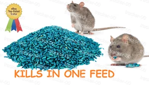 Rat & Mouse Rodent Poison Bait Killer Maximum Strong Bait Single Feed Kills - Picture 1 of 25
