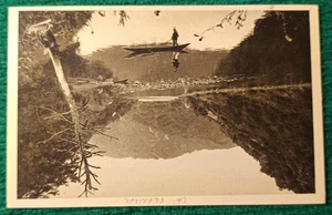 CPA 15 CANTAL - Gorges de la Dordogne - La Dordogne à la FERRIERE - Foto 1 di 2