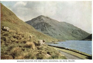 Postal Bengorm Mountain And Doo Lough Connemara Co. Mayo Irlanda - Imagen 1 de 2