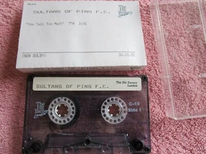 Sultans Of Ping F.C. U Talk 2 Much Hit Factory PROMO Tape Demo Cassette Single - Picture 1 of 4