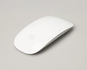 Apple Magic Mouse A3204 (USB-C, White) Wireless Rechargeable Multi-Touch Surface - Picture 1 of 7