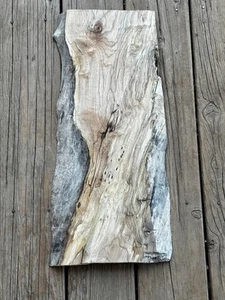 Spalted Big Leaf Maple Live Edge L-20.75”W-9”H-1” - Bild 1 von 13