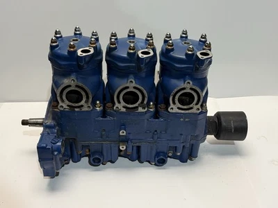 Polaris SL 780 SLX 780 SLT 780 1995-1997 agua dulce OEM motor conjunto’y Foto 1 de 4