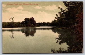 House's Pond Near Alloway New Jersey Vintage Postcard E.W. Humphreys 152 - Picture 1 of 2