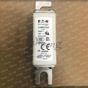 1PCS NEW NEW EATON Bussmann quick fuse 170M1318 fuse 125A 690V - Picture 1 of 1