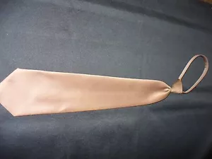 Pretied Necktie - Champagne Zipper Tie #59 - Picture 1 of 1