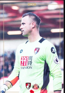 2016/17 BOURNEMOUTH V SUNDERLAND 05-11-2016 PREMIER LEAGUE - Picture 1 of 1
