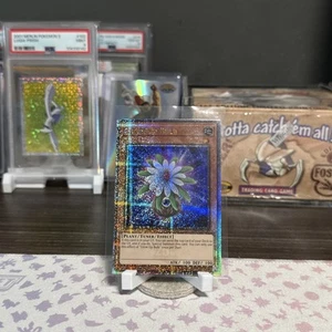 Glow-Up Bulb - RA03-EN245 - Quarter Century Secret Rare QCR Yugioh - Picture 1 of 1