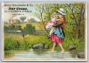 K24/ Victorian Trade Card c1880s Sandusky Ohio Harris Schumacher Dry Goods 441 - Foto 1 di 4