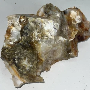 Agatized Opalized Petrified Wood Stunning White Red Yellow Crystal - Picture 1 of 5