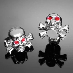 Schraube Kennzeichen Chrom M6 Skull Caferacer Custom Bike vintage Chopper Platte - Bild 1 von 1