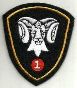 Canadian Forces 1 Canadian Mechanized Brigade Group (CMBG) DUE SSI Patch - Picture 1 of 2