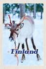 Blechschild 18x12 Finnland Hirsch Wald kalt Schnee Wand Deko Bar Kneipe Sammler