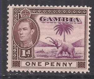 Gambia 1938 KGV1 1d Pictorial Elephant MM SG 151 ( B876 ) - Picture 1 of 1