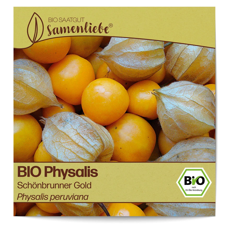 BIO Physalis Samen  Schönbrunner Gold Physalis peruviana Physalis Saatgut - Bild 1 von 4