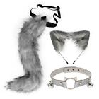 Ears and Tail with Collar Dress up Headwear Costume Cat Ear Ears Hair Clip for