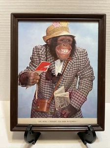 VINTAGE Gee Boss I Thought You In Florida CHIMP FUNNY VINTAGE 8X10 FRAMED Japan - Picture 1 of 5