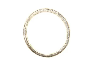 Junta de brida de tubo de escape GM 24576511 OEM NUEVA Chevy Olds Saturn 2.2 2.4 1997-07 Foto 1 de 4