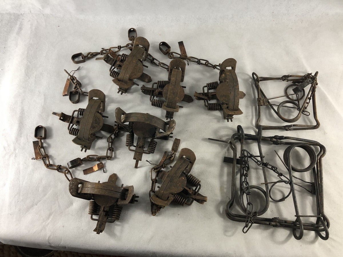 Victor 2 Traps In Vintage Hunting Traps for sale - eBay Victor 2 Traps In Vintage Hunting Traps for sale - eBay