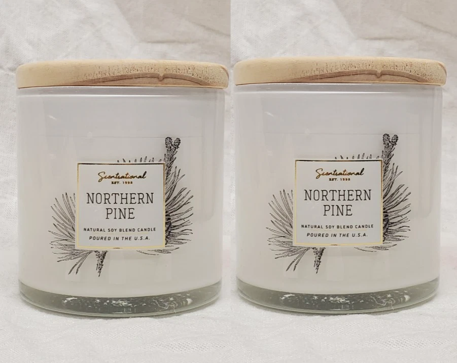 2 MINI VELAS Scentsational NORTHERN PINE Mezcla Natural de Cera de Soja 11 OZ ea Foto 1 de 1