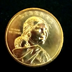 SALE PRICED - 2009 P SACAGAWEA - USA DOLLAR COIN, CIRCULATED, NICE! - Picture 1 of 3
