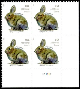 US Scott # 5544 Plate Block Of 4 Stamps MNH, Brush Rabbit - Picture 1 of 1