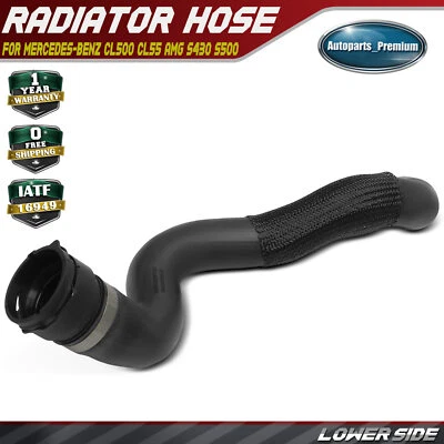 Lower Radiator Coolant Hose for Mercedes-Benz C215 CL500 W220 S430 S500 S55 AMG - Image 1 of 4