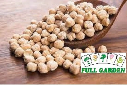 SEMI SEMENTI ceci LEGUMI ORTO PIANTARE SEMINARE - Immagine 1 di 1