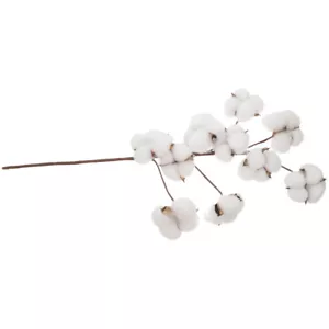 Rustic Cotton Flowers Artificial Cotton Stems Dried Cotton Stem Branches - Picture 1 of 12