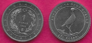 TURKEY 1 KURUS 2020 UNC 1 YEAR TYPE,CREAM COLORED COURSER,(ÇÖL KOŞARI) BIRDS OF - Picture 1 of 1