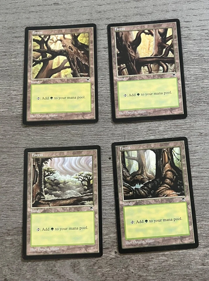 MTG Forest Tempest Basic Land All 4 Art Set 1997 NM - Image 1 of 1